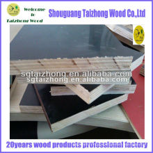 black film construction plywood with poplar core